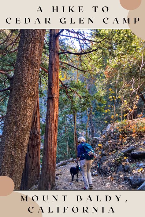 Mount Baldy California, Hiking In California, Mount Baldy, America California, California Wine, Family Road Trips, Road Trippin, Wine Tour, Hiking Backpack