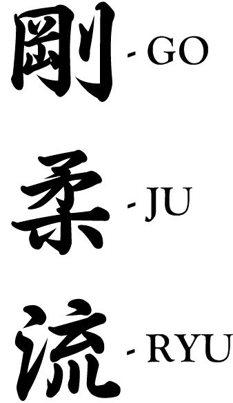 Chinese Pictographs, Karate Tattoos, Karate Picture, Shotokan Karate Kata, Dojo Design, Boxing Tattoos, Goju Ryu Karate, Okinawan Karate, Karate Kata