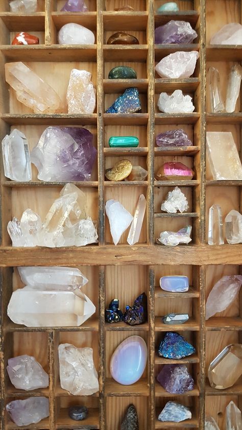 Rock Collection Storage, Crystal Collection Display, Rock Collection Display, Crystal Room Decor, Crystal Room, Printers Tray, Into The Forest, Shell Collection, Pretty Rocks