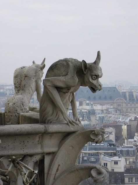 Gargoyles | Jorge | Flickr Gargoyle Statue, Gargoyles Art, Gothic Gargoyles, Notre Dame Paris, Creepy Houses, Gothic Architecture, Kingfisher, Nature Images, Stone Carving