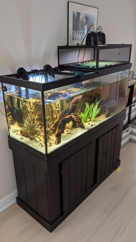 Bubbles got an upgrade! (and...won't use it) : turtle Turtle Set Up Tanks, Aquatic Turtle Enclosure Indoor, Turtle Stock Tank Ideas, Spotted Turtle Tank, Tiny Fish Tank Ideas, Turtle Tank Basking Area, 75 Gallon Turtle Tank Ideas, Turtle Tank Ideas Aesthetic, Mud Turtle Tank Setup