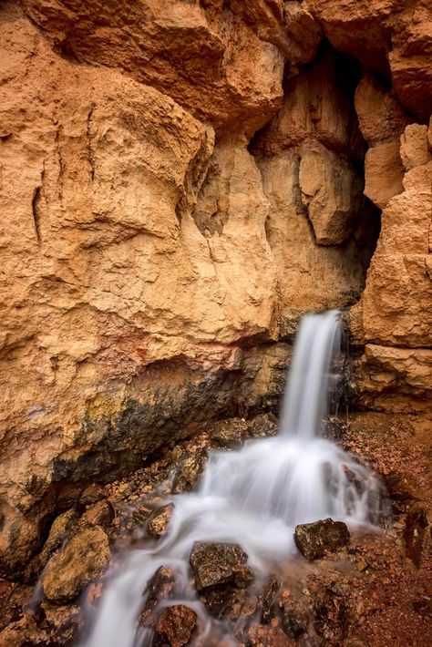 Cascade Falls, Dixie National Forest, Utah Dixie National Forest Utah, Tongass National Forest, Cascade Falls, West Coast Trail, Famous Waterfalls, California Trip, Utah Hikes, Mirror Lake, Utah Travel