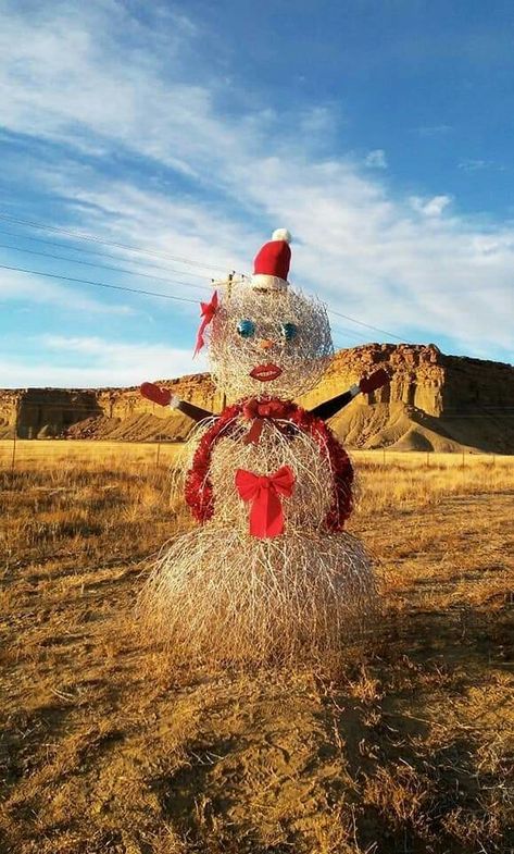 Tumbleweed Snowman Tumbleweed Christmas Tree, Tumbleweed Snowman, Arizona Christmas, Party 2023, Snow Art, Window Displays, Xmas Party, Window Display, Assemblage