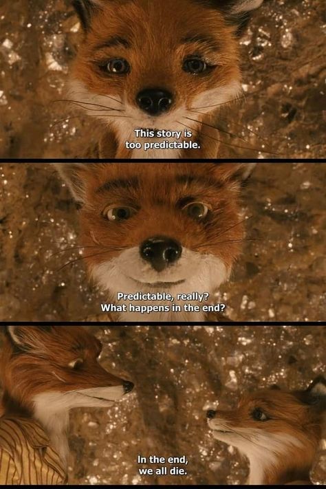 Fox Quotes, Fantastic Fox, Mister Fantastic, Wes Anderson Movies, Fantastic Mr Fox, Mr Fox, Film Quotes, Wes Anderson, Love Movie