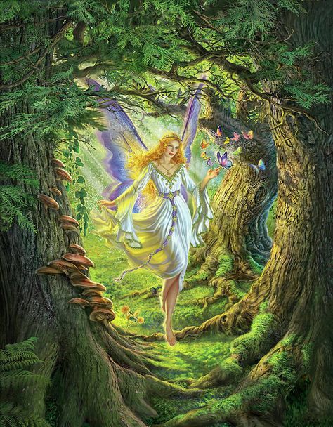 Fairies Aesthetic, Fairy Paintings, Fairy Wallpaper, Queen Poster, Fairy Pictures, Fairy Artwork, Fairy Aesthetic, Fairy Queen, Queen Art