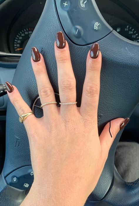 Chocolate Brown Almond Nails, Brown Shellac Nails, Brown Almond Nails, Nails Colors, Casual Nails, Shellac Nails, Chic Nails, Nails Inspo, Nails Ideas