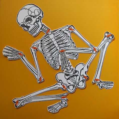 Diy Halloween Skeleton, Diy Skeleton, 3d Skeleton, Mr Bones, Kindergarten Learning Activities, Kindergarten Learning, Card Tricks, Skeleton Print, Cardboard Art