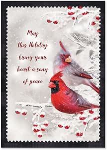 Current Winter Cardinal Christmas Greeting Cards Set - Set of 18 Large 5 x 7-Inch Folded Cards, Themed Holiday Card Value Pack, Envelopes Included Cardinal Christmas Cards, Winter Cardinal, Cardinal Christmas, Christmas 2025, Religious Christmas Cards, Christmas Sentiments, Holiday Lettering, Humming Bird, Greeting Card Set