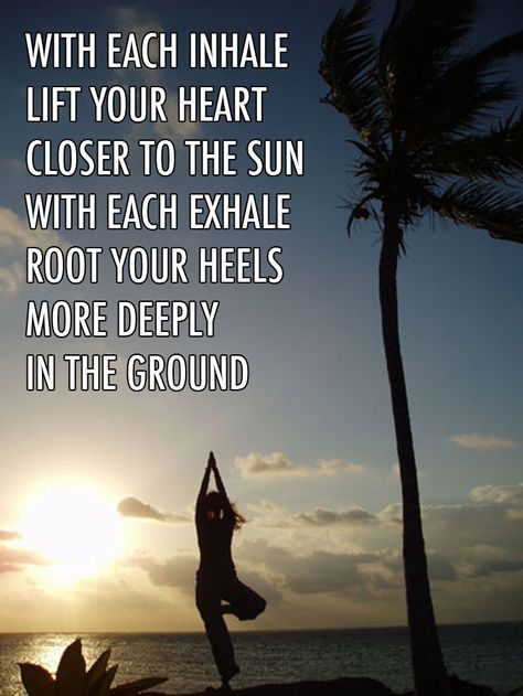 Yoga. Frases Yoga, Sup Yoga, Tree Pose, Yoga Photography, Yoga Quotes, Yoga Sequences, Yoga Asanas, Pranayama, Morning Yoga