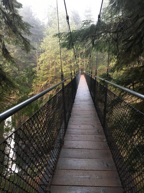 Drift Creek Falls Trail Hiking Guide | Siuslaw National Forest Trails Forest Oregon, Oregon Coast Vacation, Beginner Hiker, Oregon Beaches, Forest Waterfall, Trail Hiking, Forest Trail, Hiking Guide, Fall Hiking