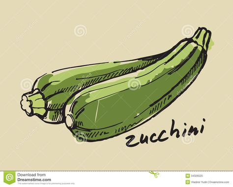 Hand Drawn Zucchini Stock Photo - Image: 34326520 Zucchini Drawing, Beige Illustration, Vegetable Drawing, Vine Drawing, Zucchini Plants, Vegetable Cartoon, Tree Drawings Pencil, Watercolor Food, Human Figure Drawing