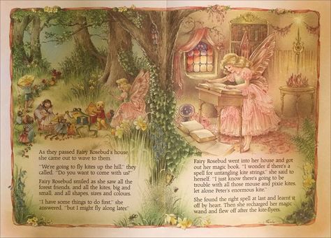 Shirley Barber, Fairy Tale Books, Mary Engelbreit, Illustration Ideas, Childhood Books, Fairy Book, Gcse Art, Flower Fairies, Kids Book