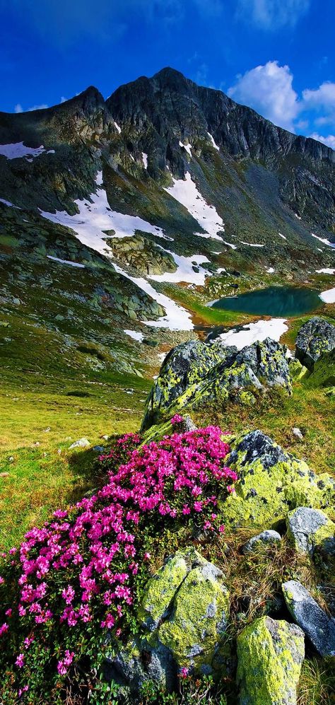 Retezat Mountains, Romania Macedonia, Pretty Places, Places Around The World, Albania, Slovenia, Amazing Nature, Serbia, Nature Photos, Nature Beauty