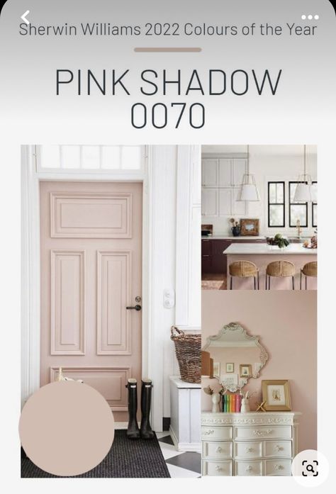 Pink Basement Ideas, Sherwin Williams Pink Girls Room, Pink Shadow Sherwin Williams, Sherwin Williams Pink Shadow, Pink Paint Colors, Paint Color Inspiration, Paint Color Schemes, Interior Design Work, Sherwin Williams Paint Colors