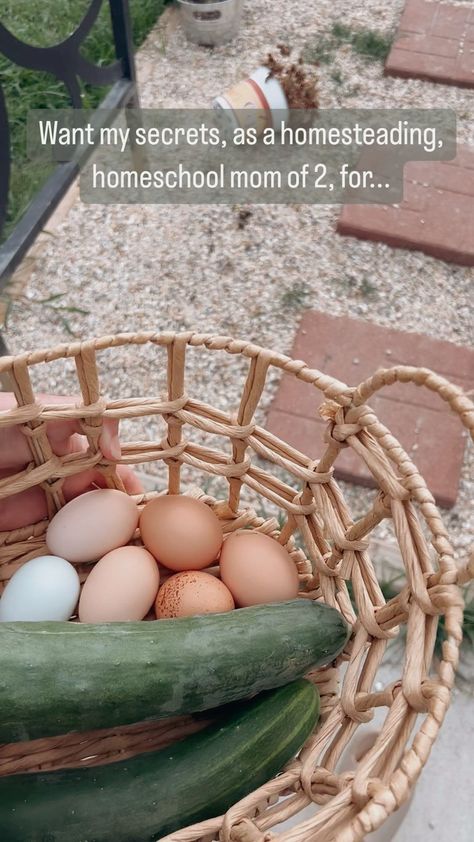 Hannah Inez • Homemaker & Homestead Lifestyle | This has saved us! We were having to refill their water at least 3 times a day since they aren’t free ranging yet! #homesteadlife… | Instagram Pet Ducks Indoor, Duck Homesteading, Homesteading Ducks, Duckling Waterer No Mess, Raising Embden Geese, Homestead Lifestyle, Raising Ducks, Free Range, Homeschool Mom