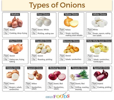 13 Different Types of Onions with Pictures Types Of Onions, Culinary Techniques, Food Infographic, Types Of Vegetables, Onion Recipes, Food Info, Cooking Basics, Food Facts, Eating Raw