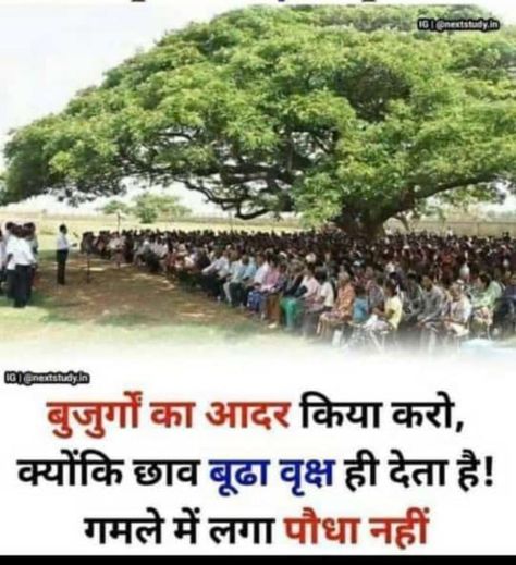 💁🏻‍♀️Respect the elderly, because only the old tree gives shade! no potted plant.📍 April 10, 2022📍 #respect #life #elderly #tree #hindi #hindi quotes #teaching Respect Your Elders Quotes, Old People Quotes, Elderly Quote, Caring For The Elderly, Quote In Hindi, Quotes Life Lessons, Respect Your Elders, Grandparents Quotes, Respect Life