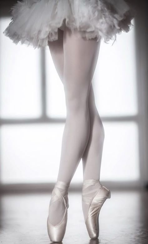 Greta Falcone, Ballerina Core, Dancer Lifestyle, Angelina Ballerina, Ballet Pictures, Ballet Aesthetic, Ballet Beauty, Ballet Inspiration, Ballerina Style