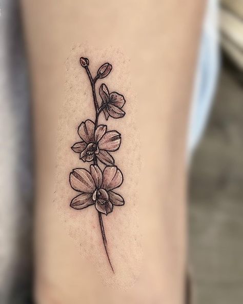 Nicole Fiore on Instagram: “Got to finally use my single liner needles for those very fine line details #singleneedle #orchidtattoo #orchid #finelinetattoo…” Orhidee Flowers Tattoo, Orchid Tattoo Design, Tulip Tattoo, Orchid Tattoo, Sister Tattoo, Shape Tattoo, Sister Tattoos, Fine Line Tattoos, Line Tattoos