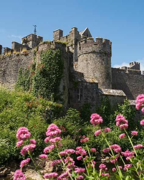 MUST places to visit in Ireland, PT. 1️⃣ If you are planning to explore Ireland anytime soon, you might want to add some of these spots to your bucket lists. Some of them are well known, some not as much. But all of them are definitely bucket list-worthy. ☺️🙌 I will be sharing more of these, so keep an eye out. 👀 📍Sheep’s Head Lighthouse (hike), County Cork 📍Cliffs of Moher, County Clare 📍The Old Head of Kinsale, County Cork 📍Dromana Gate, County Waterford (the only one of it’s kind in Ire... County Clare Ireland, Clare Ireland, Ireland Tours, Semester Abroad, Old Head, County Clare, County Cork, Cork Ireland, Cliffs Of Moher