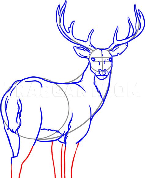 Deer Sketch Simple, How To Draw A Deer, Christmas Deer Drawing, Drawing A Deer, Draw Deer, Draw A Deer, Deer Outline, Sketches Landscape, Deer Images