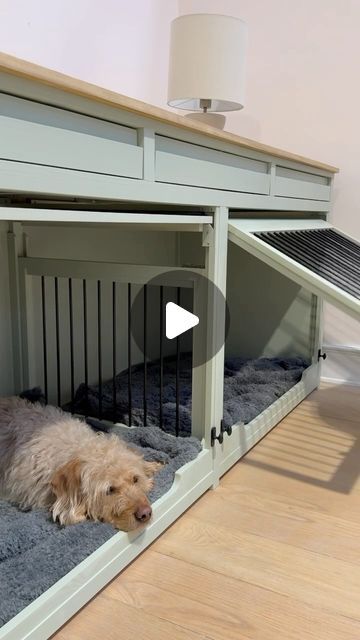 The Pet Carpenter on Instagram: "‼️ A response to the crate haters of the world‼️  ✅💛WHY WE DO WHAT WE DO🧡  One of the reasons we started The Pet Carpenter was to offer an alternative solution to the traditional metal crate.   As owners of dogs ourselves we have each found benefits in crate training as a tool for a variety of reasons from puppyhood, to providing a safe space for our dogs with toddlers about, to supporting the transition of our rescue dog into his new home and for the unwanted but necessary vet stays.. and yet none of us loved the look of the metal crate and hence us offering the solution of creating beautiful pieces of furniture that support our dogs wellbeing and are much more appealing in our homes!   For the majority of the time our dogs have complete open access to t Laundry With Dog Kennel, Base Cabinet Dog Crate, Built In Desk With Dog Crate, Dog Storage Closet, Dog Home Decor Ideas, Built In Crates For Dogs, Built In Dog Kennel Laundry Room, Hidden Dog Crate, Built In Dog Kennel