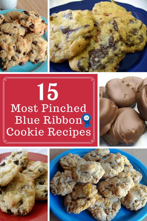 15 Most Pinched Blue Ribbon Cookie Recipes Blue Ribbon Cookies, Ribbon Cookies, Pudding Bar, Bake Off Recipes, Blue Ribbon Recipes, Cookie Contest, Mini Pretzels, Fair Food, Favorite Dessert Recipes