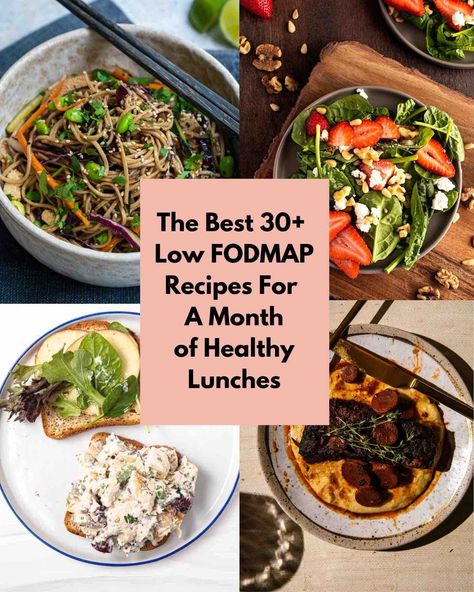 The Best 30+ Low FODMAP Lunch Ideas - Pretty Delicious Life Fodmap Lunch Ideas, Meal Prep For The Week Low Fodmap, Low Fodmap Lunch Ideas, Low Fodmap Lunch, Fodmap Baking, Blueberry Protein Muffins, High Fodmap Foods, Vegan Greek Yogurt, Fodmap Lunch