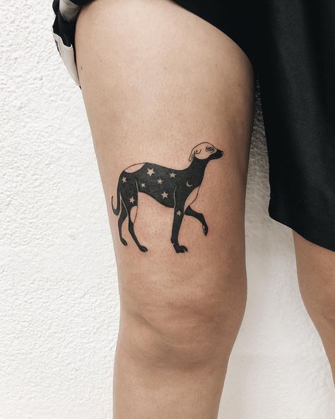 Night sky dog tattoo Jordan Tattoo, Related Tattoos, Cage Tattoos, Belly Tattoos, Ribcage Tattoo, Landscape Tattoo, White Tattoo, Abstract Tattoo, Dog Tattoo