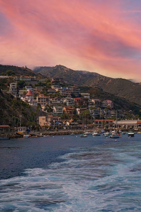 Scuba Diving Art, Avalon Catalina Island, Island Birthday, Mexico Cruise, Photo Recreation, Travel Inspiration Destinations, Us Road Trip, Fun Activities To Do, Catalina Island