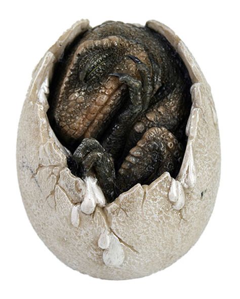 Egg Dinosaur, Red Dinosaur, Dino Eggs, Prehistoric Dinosaurs, Dinosaur Egg, Stone Wall Art, Jurassic World Dinosaurs, Dinosaur Eggs, Dinosaurs Figures