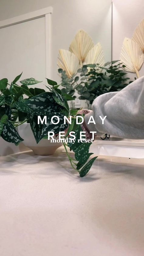 Reset Monday, Monday Reset, Home Reset, Kaeli Mae, Motivation Decor, Monthly Reset, Satisfying Aesthetic, Weekly Reset, Cleaning Inspiration