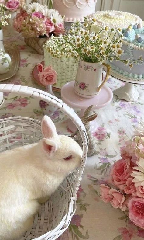 🐇Ƈ𝑢𝑡𝑒, Ƈυ∂∂ℓу🐇🌹🐇🐰 on Twitter: "https://t.co/bP8vIBa23D" / Twitter Cute Bunny Wallpaper, Bunny Wallpaper, Baby S Breath, Magical Garden, Rose Pastel, Make Friends, Spring Aesthetic, Spring Vibes, Spring Has Sprung