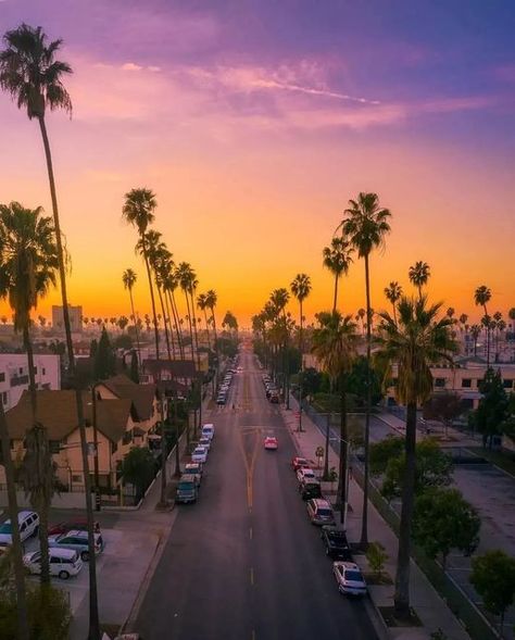 California shots on Instagram: "If you Like these Palm trees and the sky, then you have the right to like and follow 🤣😉 . . 📸 Amazing shot by: @jdubyah_ . . #losangelesphotographer #losangeles #losangelesbride #swtlosangeles #losangelesyoga #losangeleslifestyle #portoflosangeles #losangelesactor #losangelesfamilyphotographer #explorelosangeles #losangelesfitness #cityoflosangeles #instalosangeles #uberlosangeles #westlosangeles #losangelesstyle #losangelescity #losangelesevents #thisislosange Usa Facts, Los Angeles Wallpaper, Dream Landscape, Los Angeles Travel, West Los Angeles, Los Angeles City, Moving To Los Angeles, Los Angeles Wedding Photographer, Land Of The Free