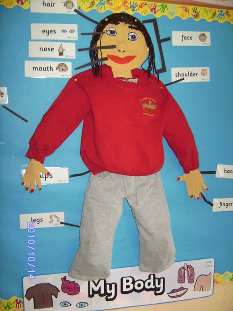 body parts preschool theme | Body Parts Display, classroom display, class display, Ourselves, All ... Outdoors Eyfs, Eyfs Displays, All About Me Display, All About Me Eyfs, All About Me Topic, Body Preschool, British Values, Body Parts Preschool, Eyfs Classroom