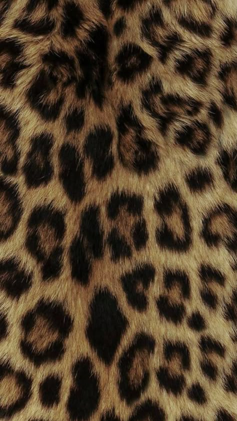 Glamour Wallpaper, Leopard Print Background, Cheetah Print Wallpaper, Iphone Homescreen Wallpaper, Iphone App Design, Iphone Background Wallpaper, Brown Aesthetic, Print Wallpaper, Cute Backgrounds