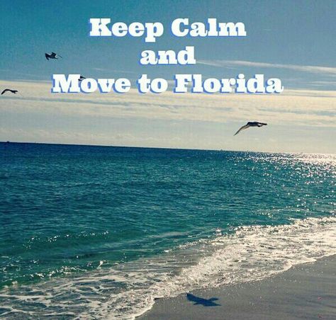 I so want too! Move To Florida, Living In Florida, Florida Life, Moving To Florida, Salt Air, Florida Girl, Florida Living, I Love The Beach, Beach Living