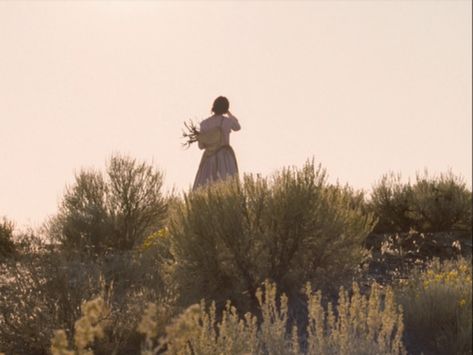 Meek’s Cutoff – [FILMGRAB] Meek's Cutoff, Abigail Roberts, Kelly Reichardt, Charles Smith, Oregon Trail, Arthur Morgan, Southern Gothic, Red Dead Redemption 2, Jane Eyre