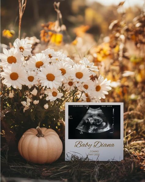 Daisy Flower Pregnancy Announcement Digital Download Boho Baby Announcement Digital Pregnancy Announcement Template Social Media Reveal - Etsy Canada Fall Ultrasound Pictures, Autumn Pregnancy Announcement, October Pregnancy Announcement, Boho Baby Announcement, Baby Announcement Digital, Fall Baby Announcement, Pregnancy Announcement Sibling, Pregnancy Announcement Photoshoot, Fall Pregnancy Announcement