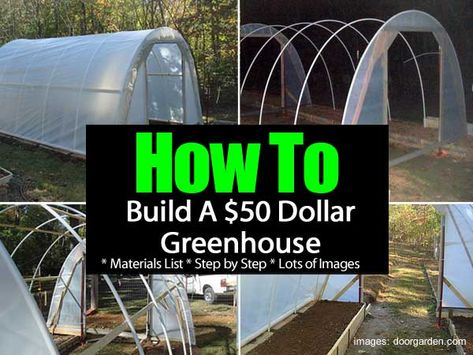 How To Build A $50 Dollar Greenhouse - Hoop Greenhouse, Cheap Greenhouse, Greenhouse Supplies, Commercial Greenhouse, Outdoor Greenhouse, Build A Greenhouse, Indoor Greenhouse, Greenhouse Interiors, Home Greenhouse