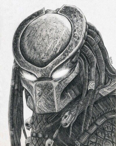 Sketch Predator Drawing, Draw Alien, Alien Predator, Predator Artwork, Dinosaur Sketch, Predator Movie, Blue Rose Tattoos, Alien Drawings, Eagle Pictures