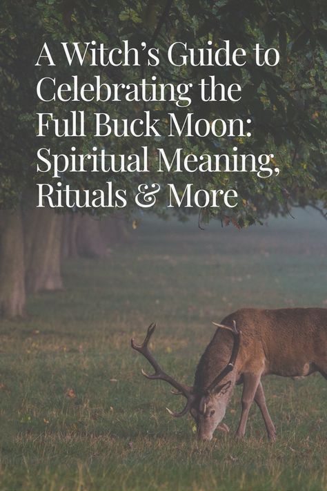 This guide will help you explore the spiritual meaning of the Buck Moon, its rich history and folklore, and various ways to celebrate this magical time.

buck moon, full buck moon july 2024, buck moon spiritual meaning, buck moon rituals, buck moon symbolism, buck moon correspondences Full Moon Symbolism, Buck Moon 2024, Buck Moon Ritual 2024, Buck Moon Ritual, Buck Moon Meaning, July Full Moon 2024, Buck Moon Correspondences, Moon Symbolism, Wolf Full Moon Ritual