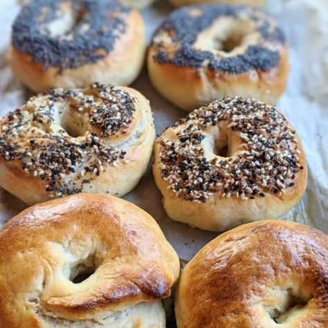 Sourdough Bagels Recipe, Bagels Easy, Easy Bagel, Vegan Pantry Staples, Garlic Naan Recipe, South Indian Kitchen, Bagels Recipe, Sourdough Bagels, Vegan Pantry