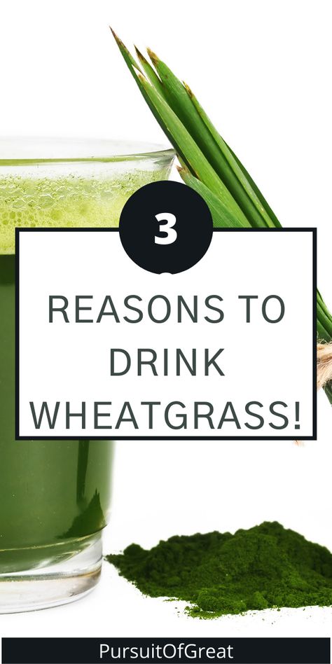 There are a number of reasons to drink wheatgrass juice for your health, but what are they? Should you include wheatgrass juice in your healthy eating regimen? What are the best wheatgrass benefits? Click the pin to learn the top three! Maybe your version of eating healthy can include wheatgrass juice! Wheatgrass Benefits, Wheatgrass Smoothie, Wheatgrass Juice, Juice Quotes, Growing Wheat Grass, Wheat Grass Shots, Wheatgrass Powder, Turmeric Shots, Anti Aging Diet