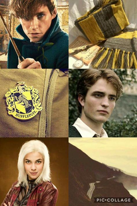 Classe Harry Potter, Hufflepuff Aesthetic, Hufflepuff Pride, Harry Potter Images, Harry Potter Hufflepuff, Harry Potter Tumblr, Harry Potter Houses, Harry Potter Wallpaper, Harry Potter Love