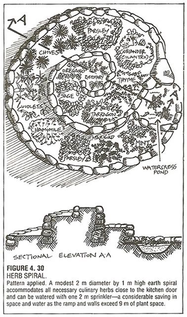 Diagram and further instructions on how to build an herb spiral. I can't wait until we can do this in our own space! Herb Spiral, Spiral Garden, Indie Craft, Vertical Garden Design, Herb Garden Design, Permaculture Gardening, Permaculture Design, Dry Plants, Growing Herbs