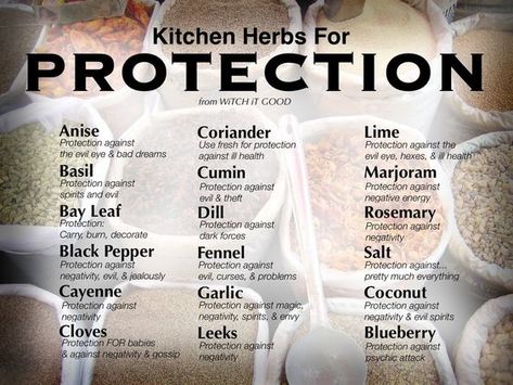 Kitchen Herbs for Protection - Witch Ot Good Herbs For Protection, Magickal Herbs, Witch Herbs, Kitchen Witchery, Magic Herbs, Kitchen Herbs, Magical Herbs, Wiccan Spell Book, Witchcraft Spell Books