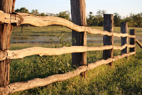 Log Fence Ideas Diy, Natural Wood Fence, Old Wood Fence, Old Wooden Fence, Como Plantar Pitaya, Log Fence, Diy Backyard Fence, Wood Fence Design, Country Fences