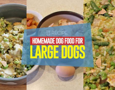 Homemade Dog Food Vet Approved, Food Portion Sizes, Chicken Dog Food Recipes, Senior Dog Food Recipes, Diy Dog Food, Make Dog Food, Grain Free Dog Food, Healthy Dog Treats Homemade, Food Meals