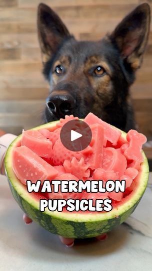 Puppy Popsicles, Dogs Things, Dogs Treats, Watermelon Pops, Animal Treats, Doggy Treats, Diy Dog Food, Frozen Dog Treats, Dog Biscuit Recipes